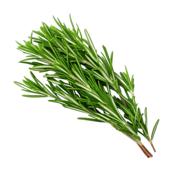 Beta-Pinene