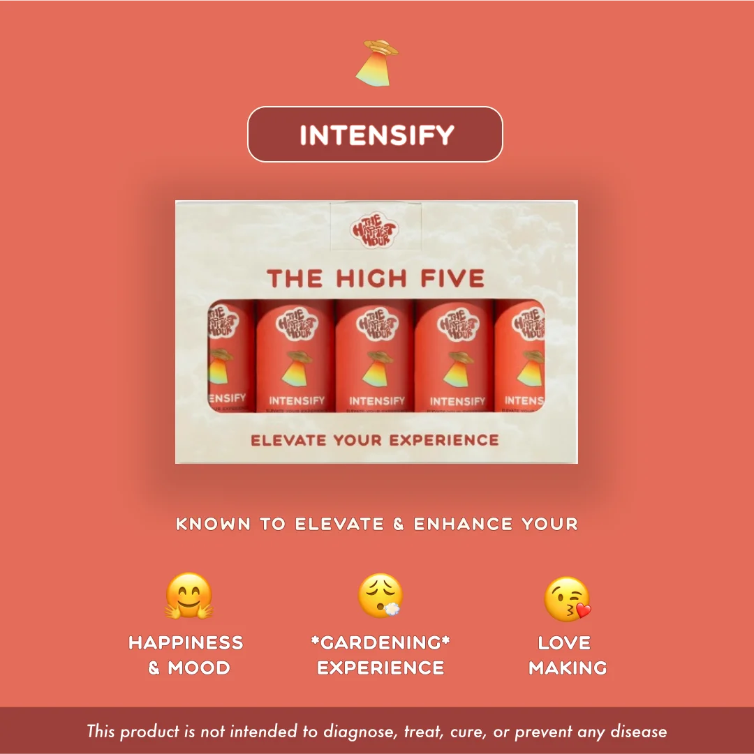 Intensify - 5 Pack