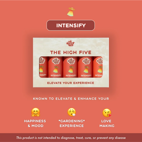 BLISS + INTENSIFY BUNDLE (5 PACKS)