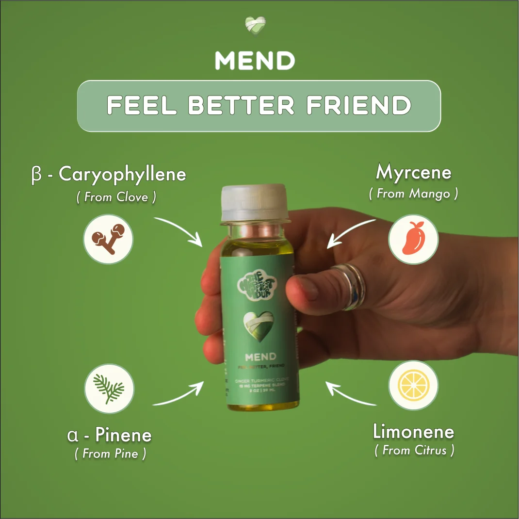 MEND + SLEEP BUNDLE (12 PACKS)